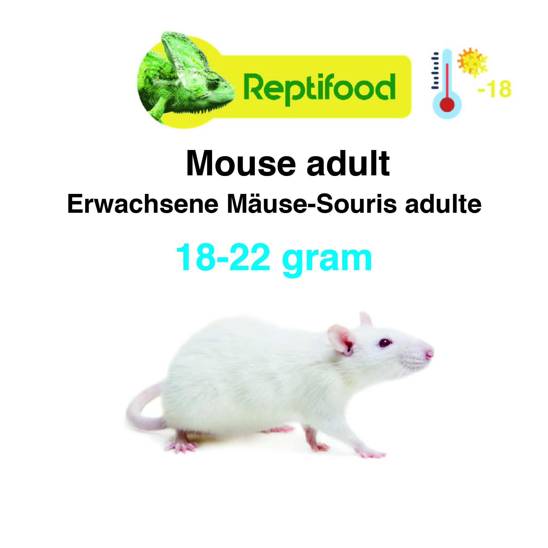 Diepvries muis volwas 18-22 gr. 25 stuks